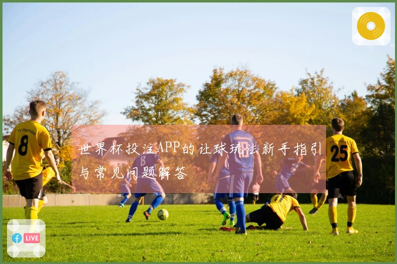 世界杯投注APP的让球玩法新手指引与常见问题解答