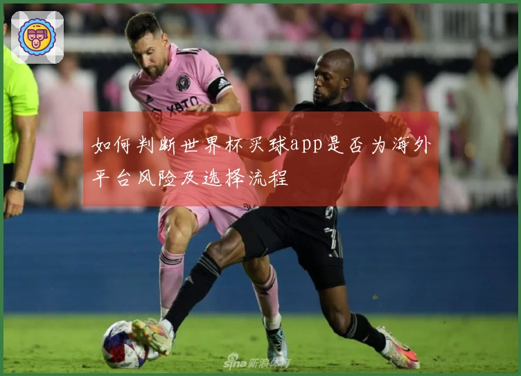 如何判断世界杯买球app是否为海外平台风险及选择流程
