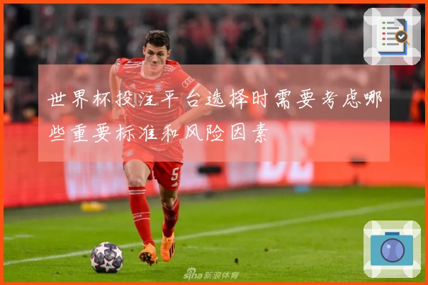 世界杯投注平台选择时需要考虑哪些重要标准和风险因素