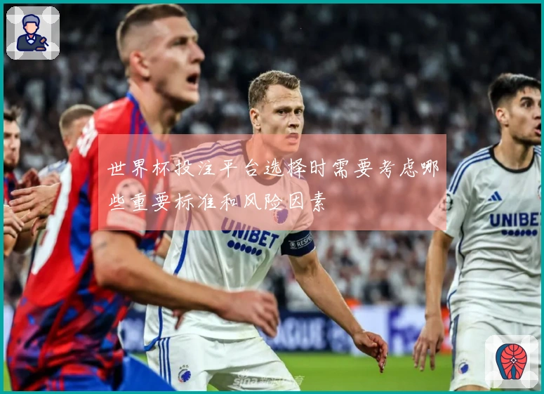 世界杯投注平台选择时需要考虑哪些重要标准和风险因素