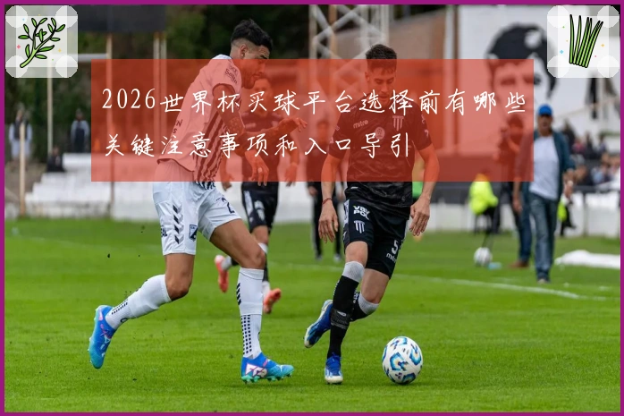 2026世界杯买球平台选择前有哪些关键注意事项和入口导引